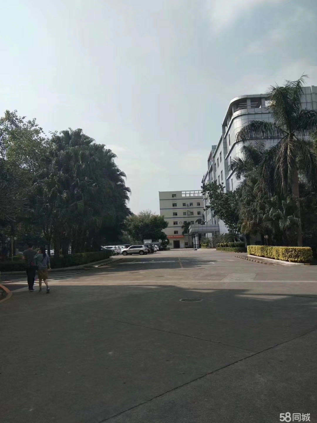 普工、生產(chǎn)工、操作工、裝配工、維修員、包裝工、插件、組長、拉長